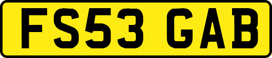FS53GAB