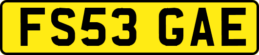FS53GAE