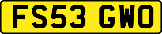 FS53GWO