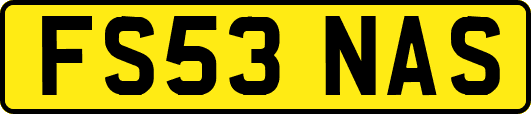 FS53NAS