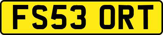 FS53ORT