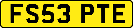 FS53PTE