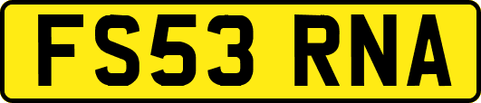 FS53RNA