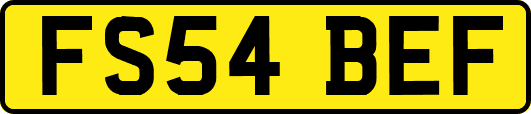 FS54BEF