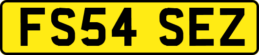 FS54SEZ