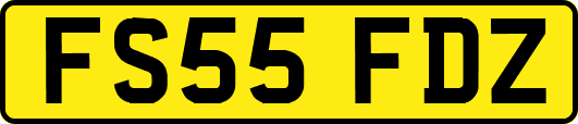 FS55FDZ