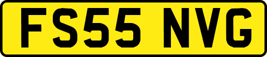 FS55NVG