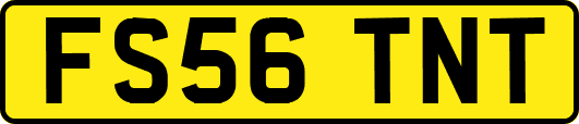 FS56TNT