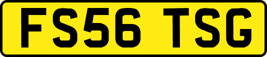 FS56TSG