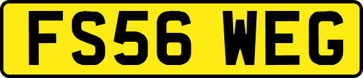 FS56WEG