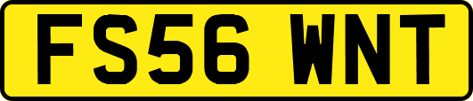 FS56WNT