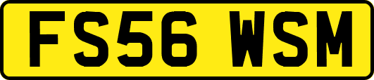 FS56WSM
