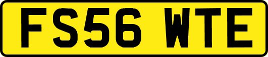 FS56WTE