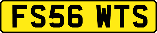 FS56WTS