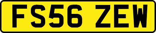 FS56ZEW
