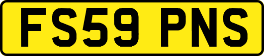 FS59PNS