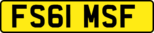 FS61MSF