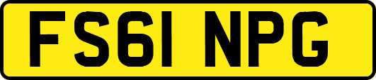 FS61NPG