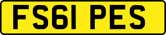 FS61PES
