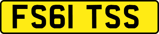 FS61TSS