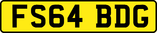 FS64BDG