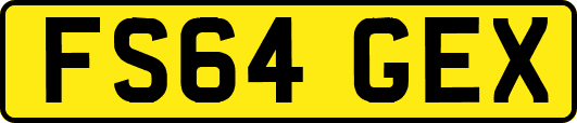 FS64GEX
