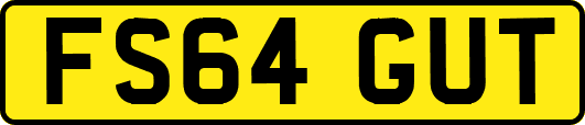 FS64GUT