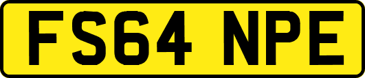 FS64NPE