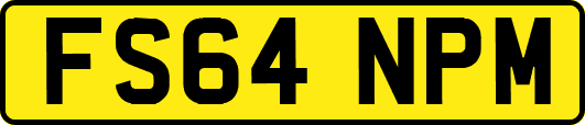 FS64NPM