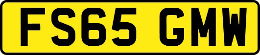 FS65GMW