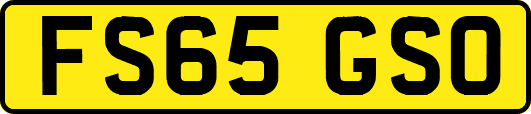 FS65GSO