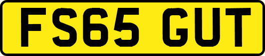 FS65GUT
