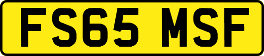 FS65MSF