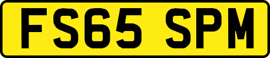 FS65SPM