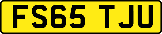 FS65TJU