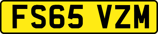 FS65VZM