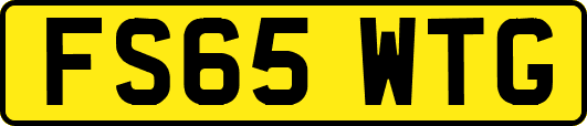 FS65WTG