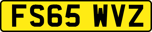 FS65WVZ