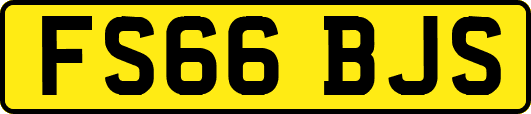FS66BJS