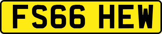 FS66HEW