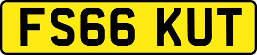 FS66KUT