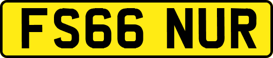 FS66NUR