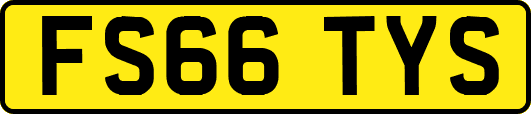 FS66TYS