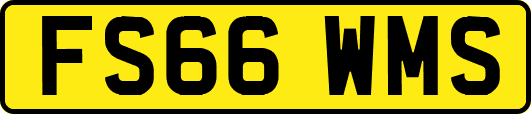 FS66WMS