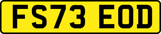 FS73EOD