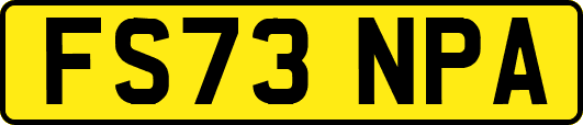 FS73NPA