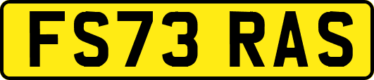 FS73RAS