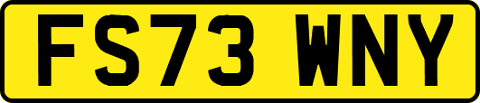 FS73WNY
