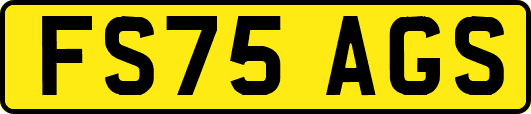 FS75AGS