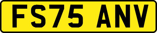 FS75ANV